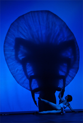 Shadowland