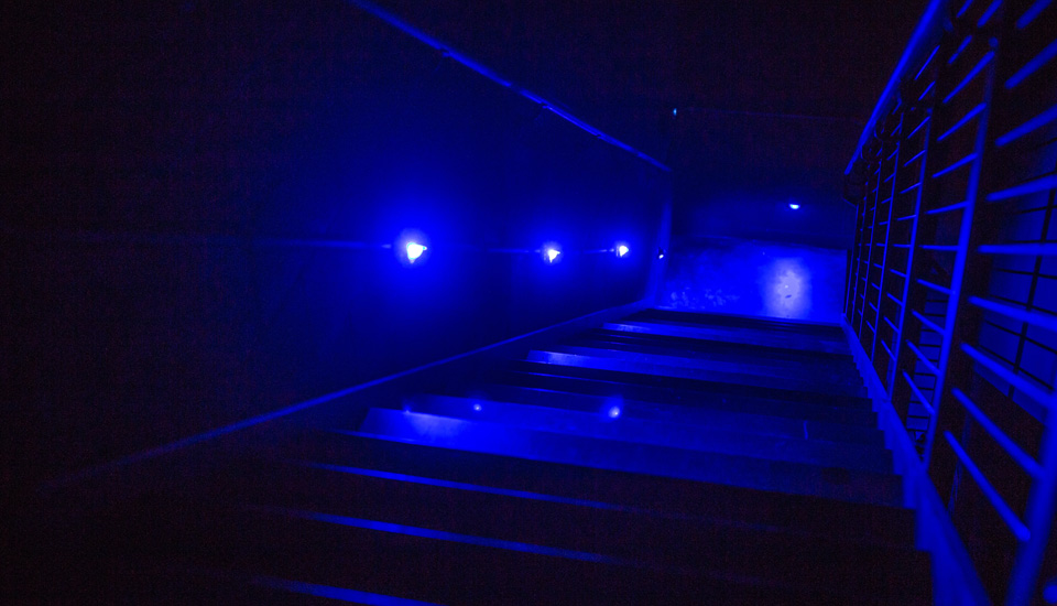 GDS BluesSystem Illuminates Princeton University