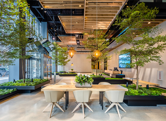 ETC Helps Mass Mutual Boston Create a Forest in the City